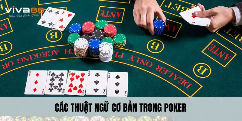 Thuật ngữ cơ bản trong Poker