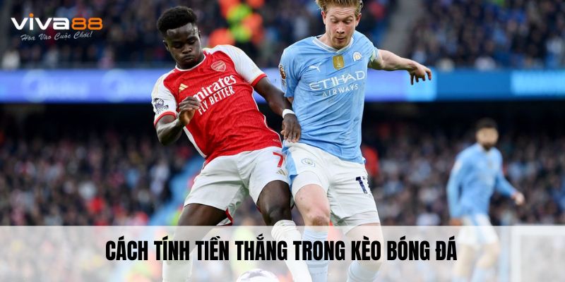 Cách tính tiền thắng trong kèo bóng đá